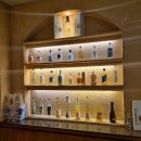 구월의 소철 이미지