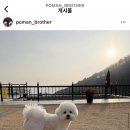 개성있냥 네이버블로그