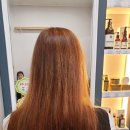 친환경 머리염색 엘샤론