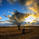 개미목장 이미지