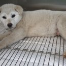 의림대로 이미지