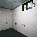 호두나무캠핑장 이미지