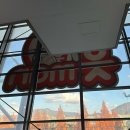 세븐일레븐 성남은행공원점 | 부산 OK저축은행 읏맨 프로배구 홈 경기 25.11.30(일) 관람후기