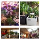 청명원협동조합 이미지