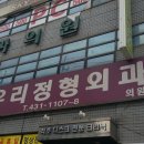 금수정화조