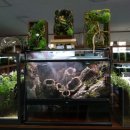 아쿠아플랜트디자인 이미지