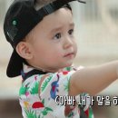 말하는앵무새