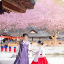 신후대조태양광 | 한복스냅 추천 | 경원재바이워커힐 웨딩 본식스냅 후기 | 인천전통혼례 결혼식 촬영 | 송도경원재결혼식...