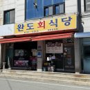 완도전통시장 | 아침 7시에 웨이팅 마감되는 속초 오징어물회 맛집 완도회식당 내돈내산 솔직후기