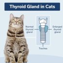 으뜸원동물병원 이미지