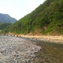 정희농박 이미지