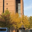 파리바게뜨 남산점 | [일상] 단풍으로 시작해 단풍으로 끝! 11월 절반 일상 w/남산 따릉이 인왕산 노량진 방어회 과자집