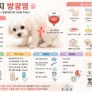 멍멍이네 Daum카페