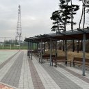 풀스피드(주) Daum카페