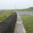 표선리-4 이미지