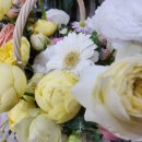 도란도란한의원 이미지