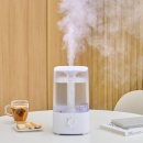 721 | 넥소버 초음파 가습기 간편 통세척 가정용 NXH-721 솔직 사용 후기