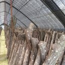 내동농장 이미지