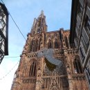 테크메디아 | 스트라스부르 iief 어학 후기(2015년9월~2017년 6월)