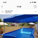 댕댕그라운드 이미지