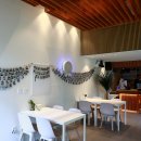 멍스타애견 이미지