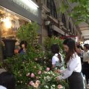 김재인 카카오 검색결과