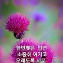 내 마음을 선물할 수 있다면 이미지