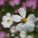 솔리데오 이미지