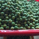 커피허브 이미지