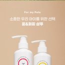 윤앤퍼피 이미지