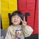 나르샤 태권도 이미지