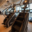 짐 화이트하우스 이미지