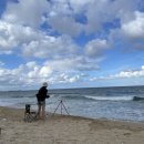 해변수산 이미지