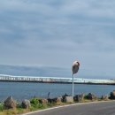 하우목길52 이미지