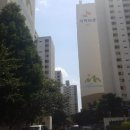 하단동1004 이미지