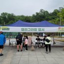 [시민] 캘리그라피 이미지