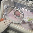 전대의료기 | 전대 NICU 자리 없음으로 전주예수병원 전원 임신중독증 33주 출산후기