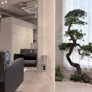 비그로브 그로브 이미지