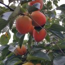 천마산모텔 이미지