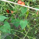 두평농장 이미지