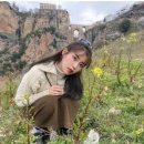 학수고대마을 | 스페인 남부 소도시 투어(사하라, 세테닐, 론다)