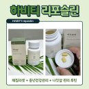 하비티 리포슬린 후기 | 나잇살 고민 베르베린 모로오렌지 체질리셋 식전 루틴