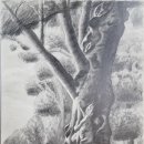 연필화&팝아트 이미지