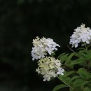 천문공원 이미지