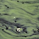 인의농장 이미지