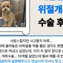 해뜨는 동물병원 이미지