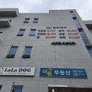 인정미용실 | [청주동남지구미용실] 토리헤어 단발컷 후기! 원장님 금손 인정 (예약 필수)