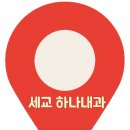 세교하나내과의원 네이버블로그