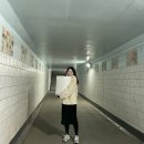 [ 니트스커트 추천 ] 밀키웨이 milkyway 니트스커트 착용후기
