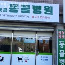 펫콤동물병원 이미지